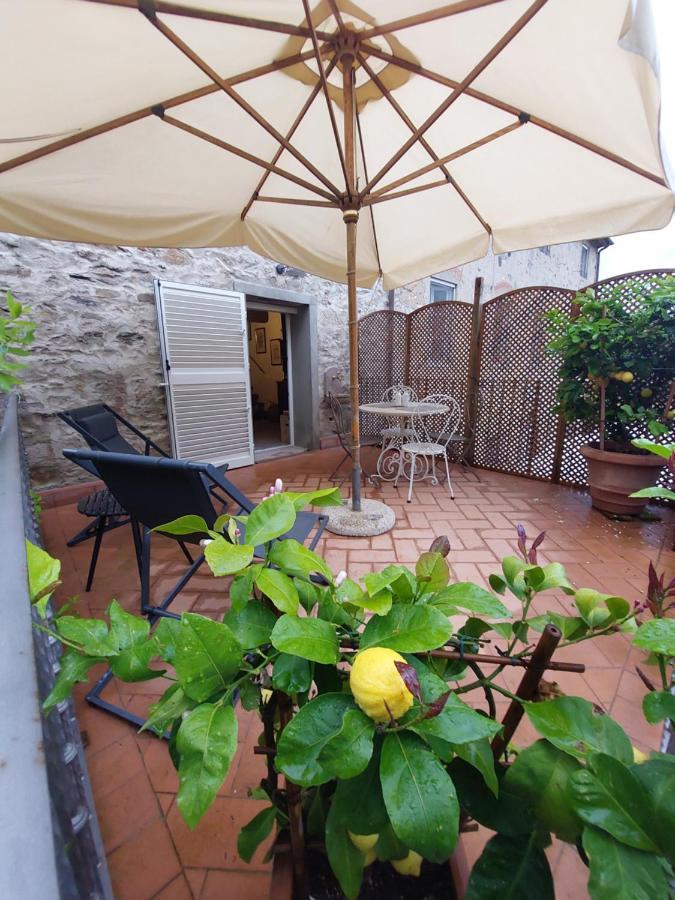 Casina Laura Villa Capannori